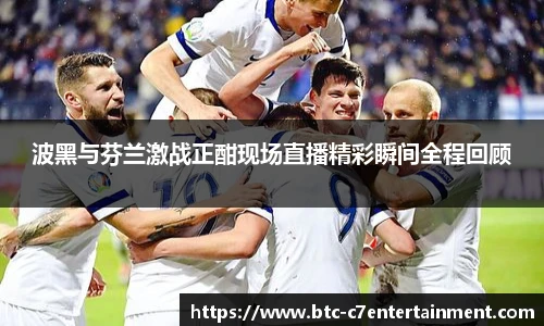 波黑与芬兰激战正酣现场直播精彩瞬间全程回顾
